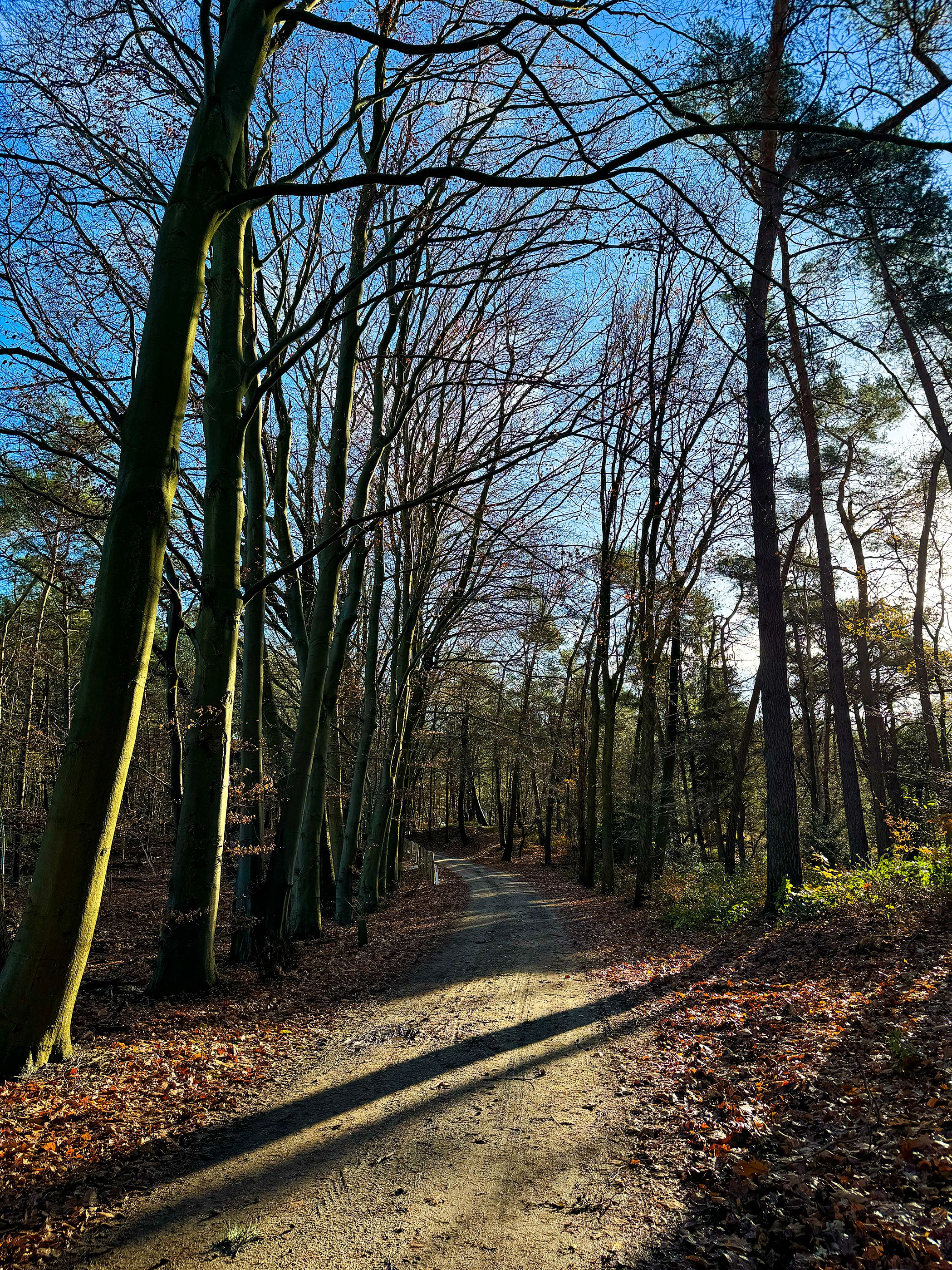 Foto 60 van Elspeterbosweg 106