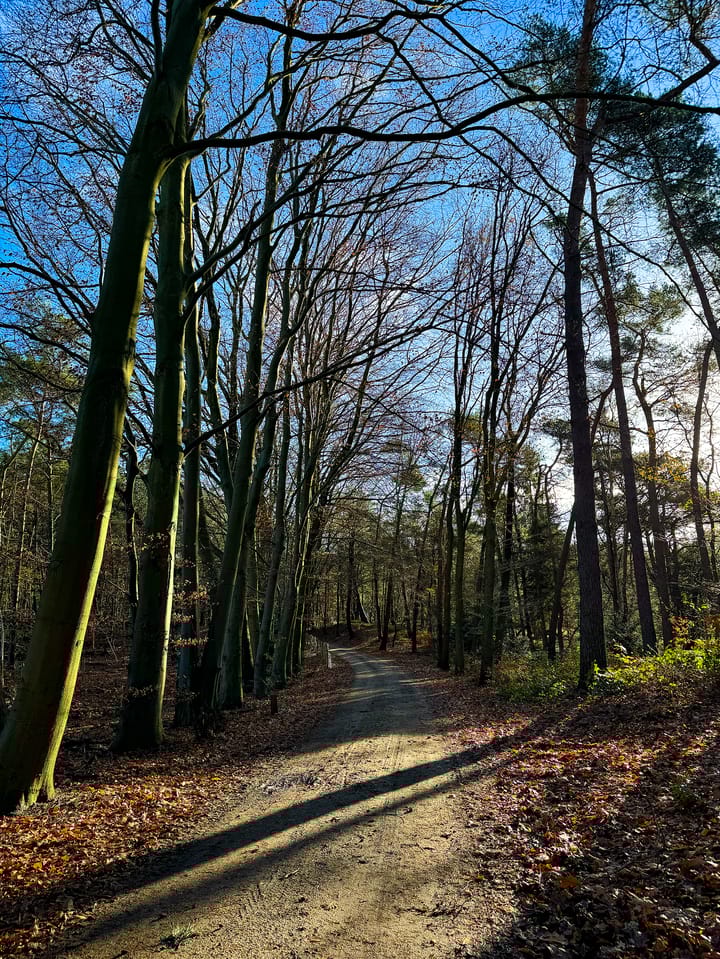 Foto 60 van Elspeterbosweg 106