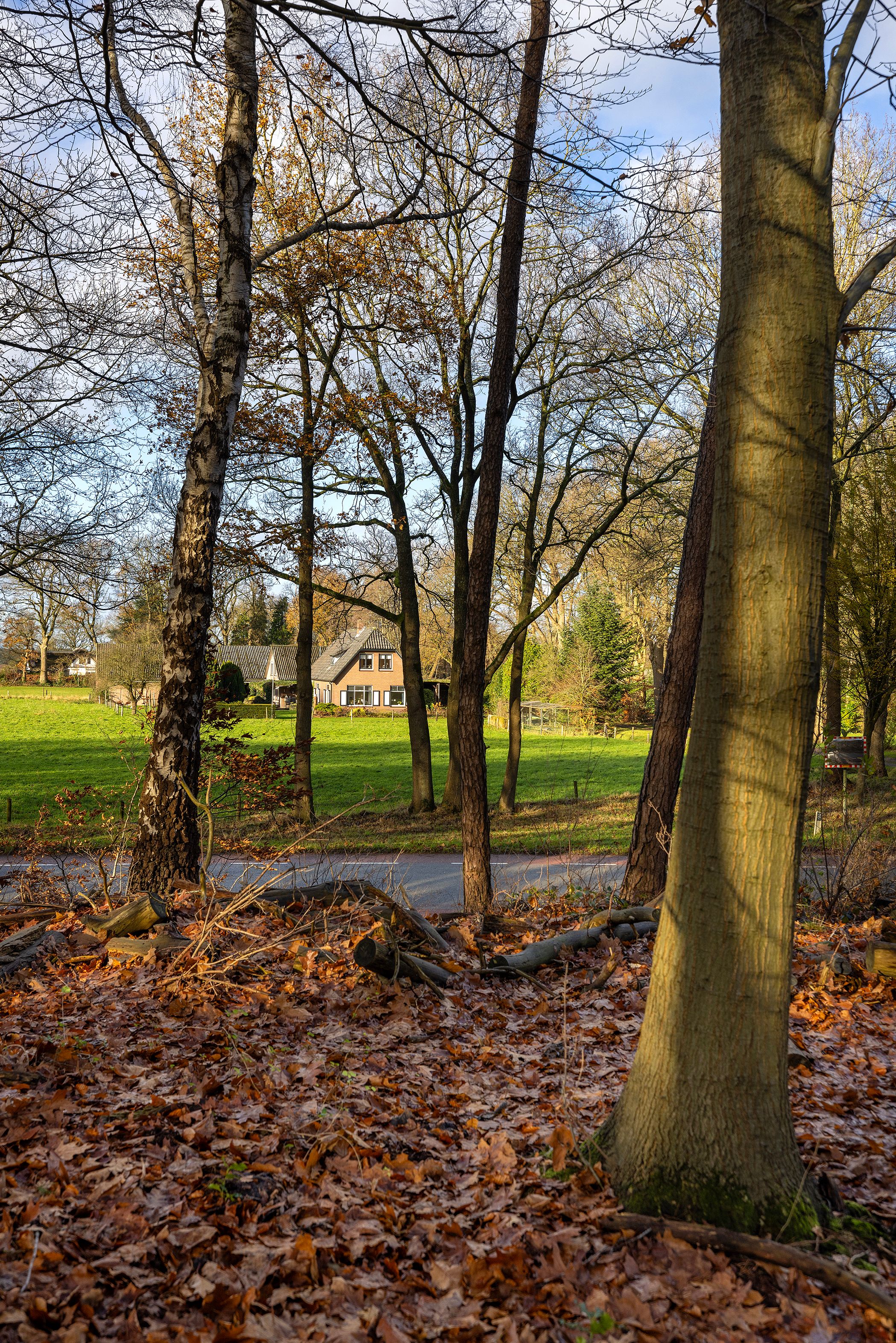 Foto 63 van Elspeterbosweg 106