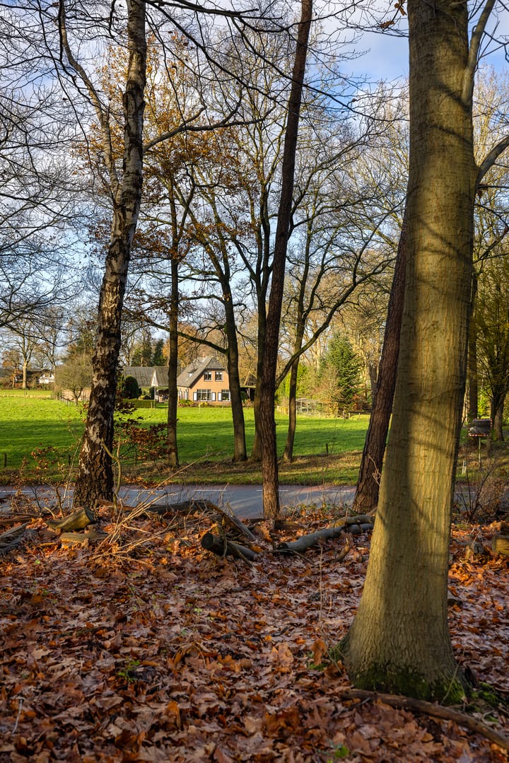 Foto 63 van Elspeterbosweg 106