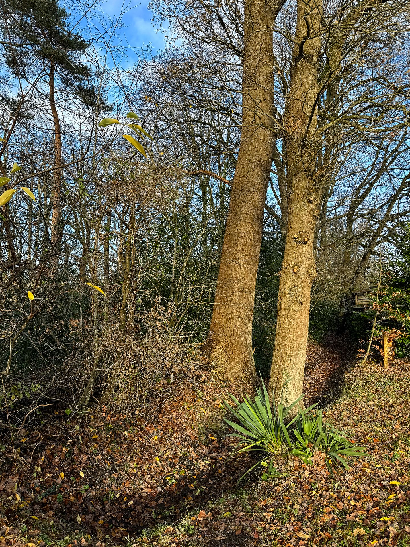 Foto 64 van Elspeterbosweg 106