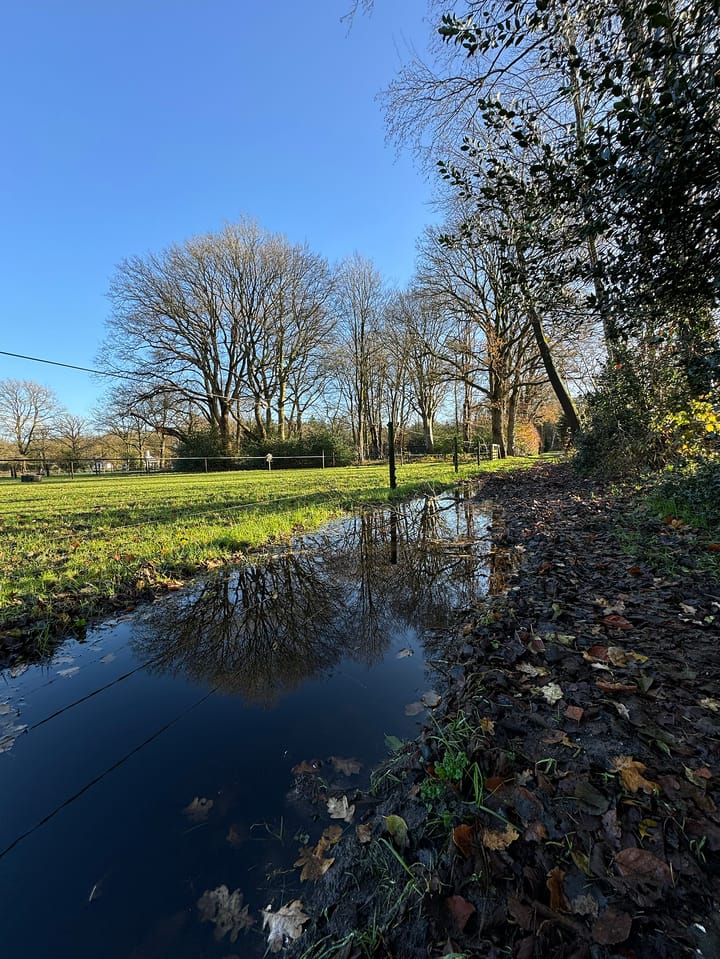 Foto 65 van Elspeterbosweg 106