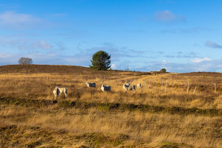 Foto 66 van Elspeterbosweg 106