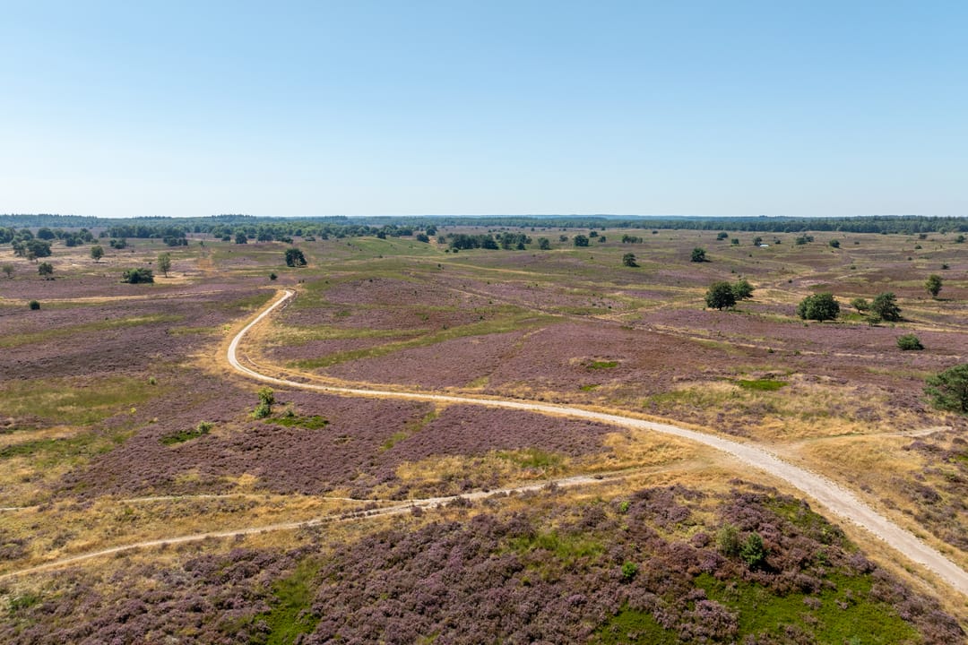 Foto 68 van Elspeterbosweg 106