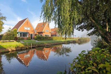 Terp 46 tertiary image