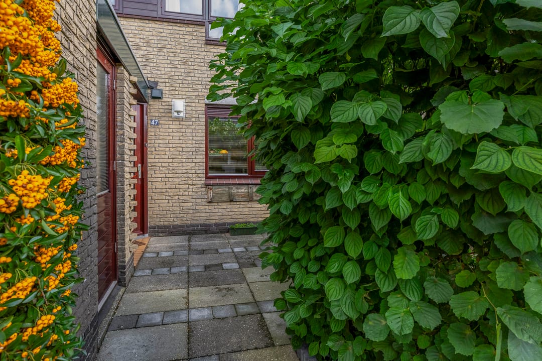 Foto 7 van Loggerkade 47