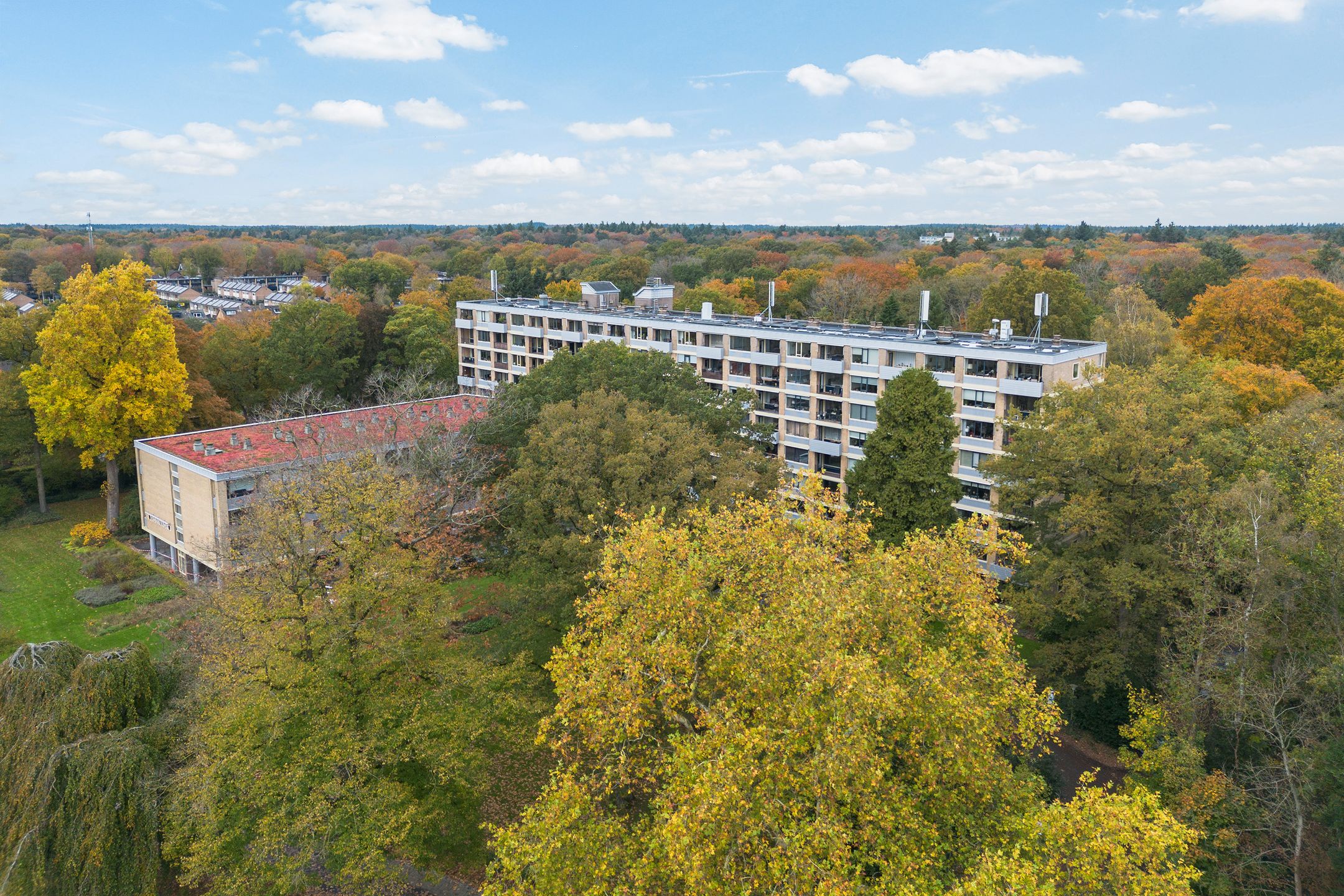 Foto 3 van Rozenhof 45