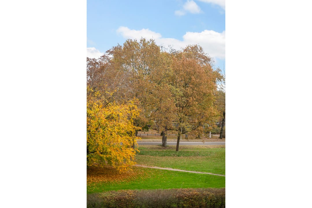 Photo 28 of Rommestraat 19