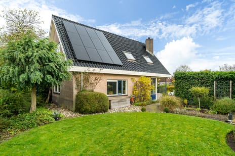 Pipegaal 9 secondary image