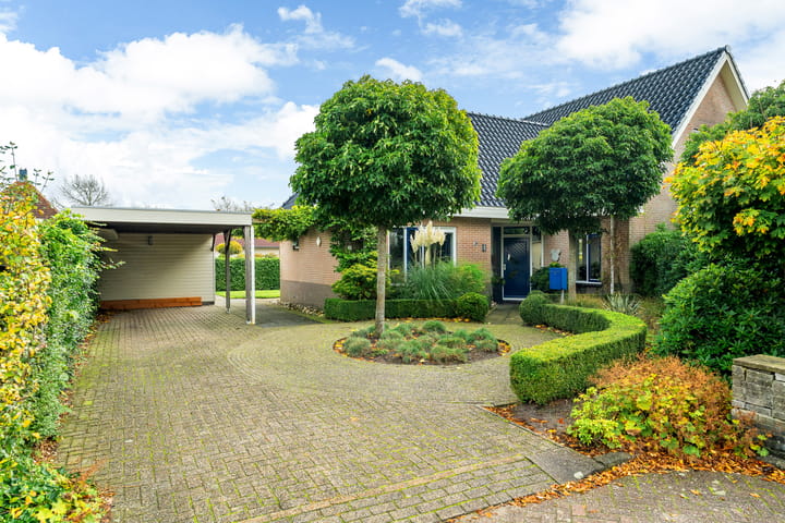 Photo 9 of Pipegaal 9