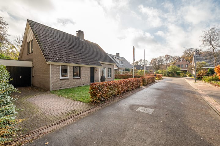 Foto 8 van Bosland 3