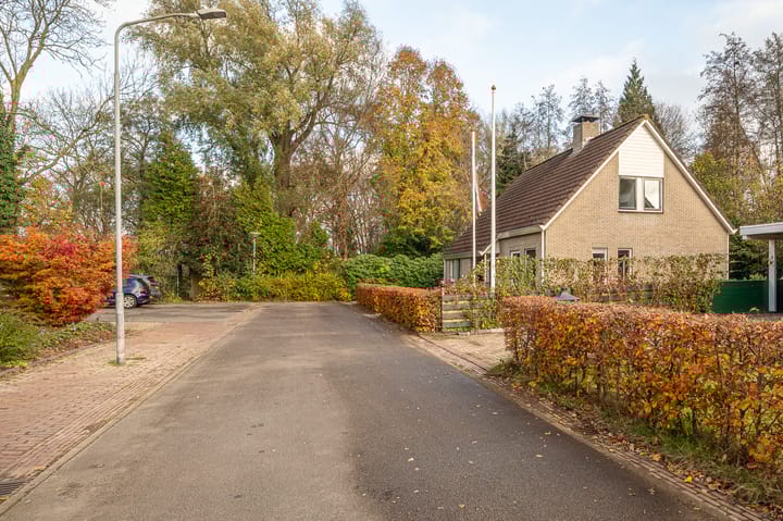 Foto 9 van Bosland 3