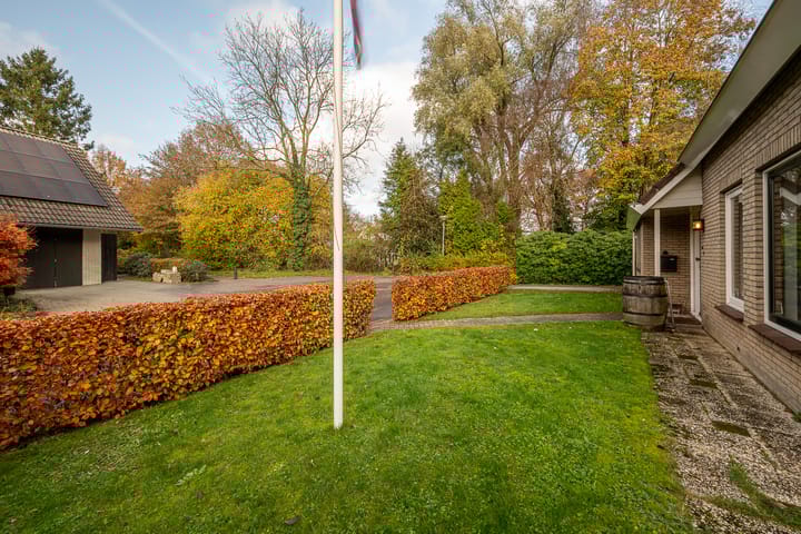 Foto 10 van Bosland 3