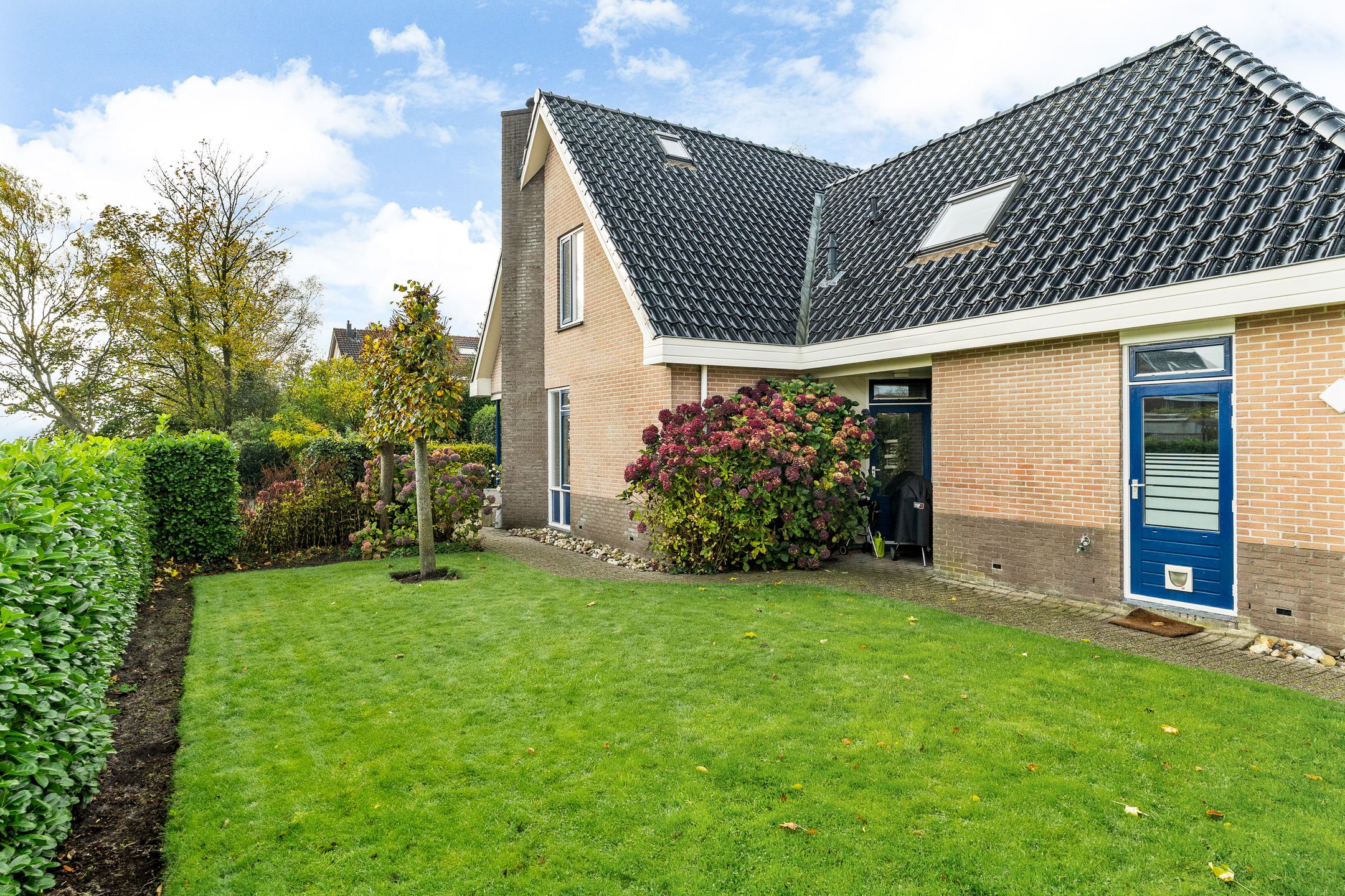 Foto 51 van Pipegaal 9