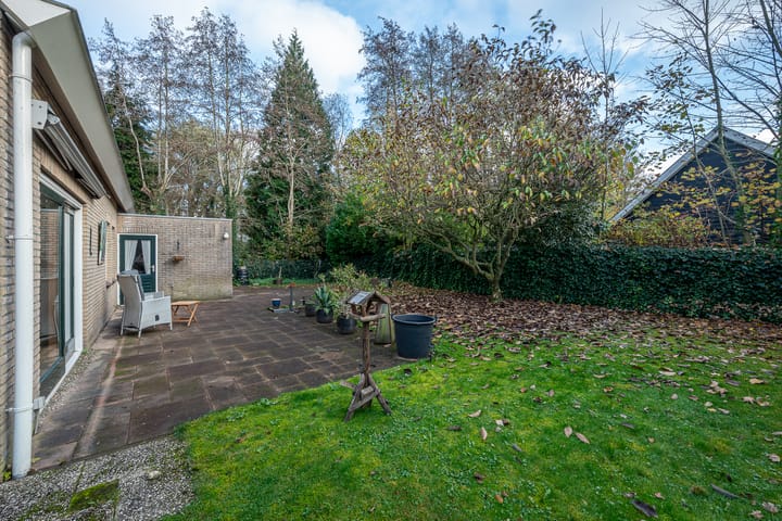 Foto 40 van Bosland 3