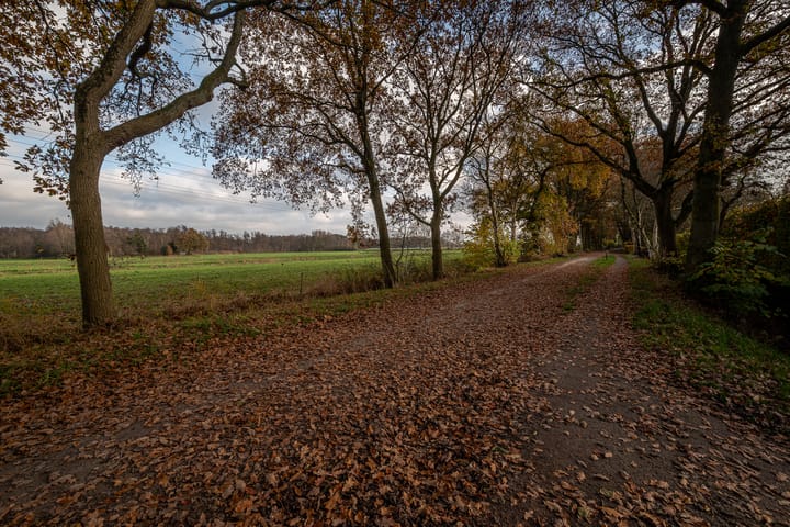 Foto 46 van Bosland 3