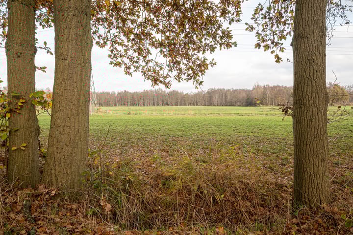 Foto 47 van Bosland 3