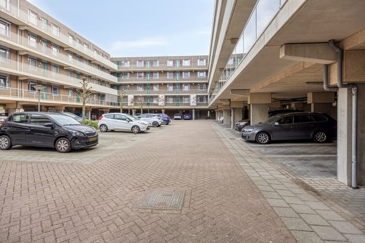 Photo 22 of Vossenzoom 85