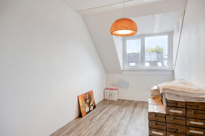 Foto 12 van Bosanemoon 10