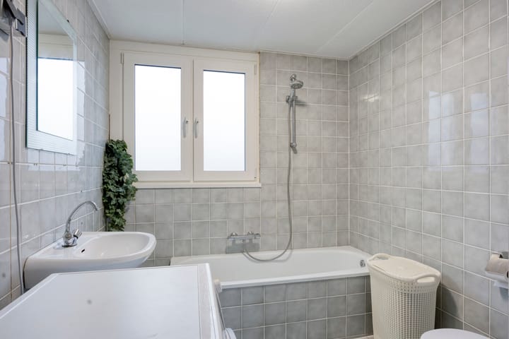 Foto 13 van Bosanemoon 10