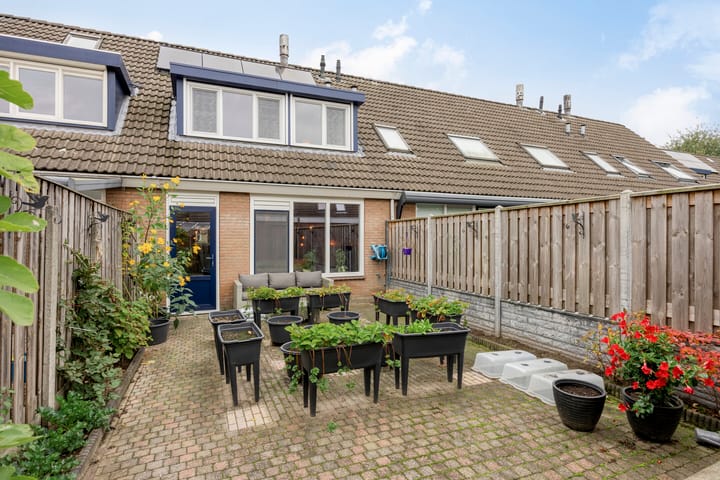 Foto 15 van Bosanemoon 10