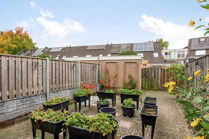 Foto 16 van Bosanemoon 10