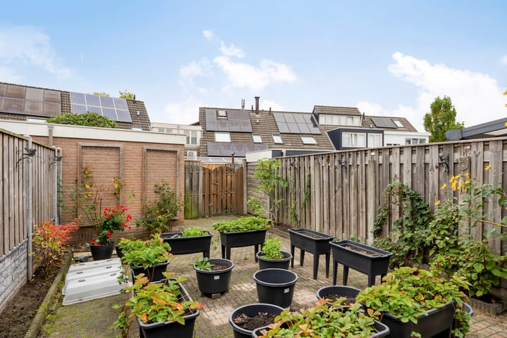 Foto 17 van Bosanemoon 10