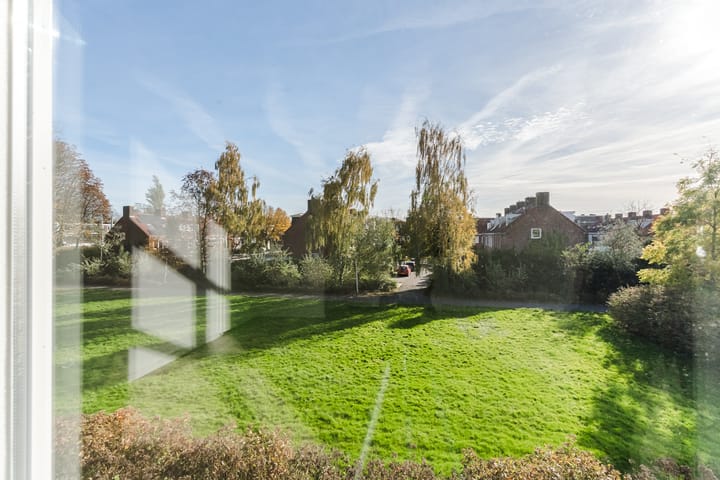 Foto 19 van Mendelssohnlaan 3-M