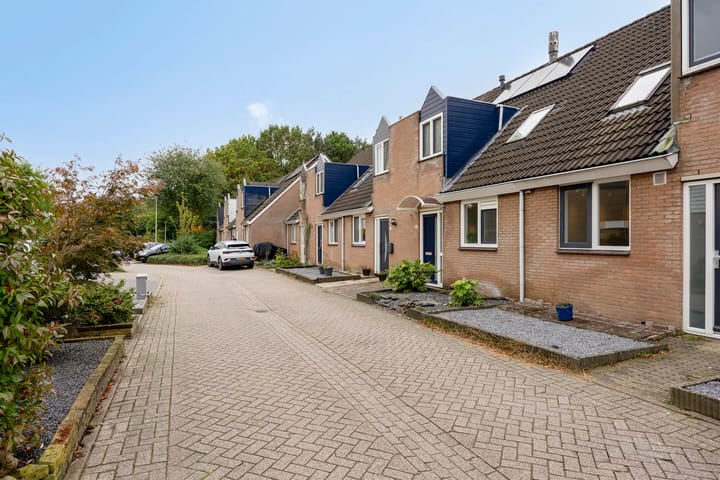 Foto 22 van Bosanemoon 10