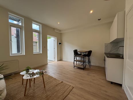 Paulus Potterstraat thumbnail