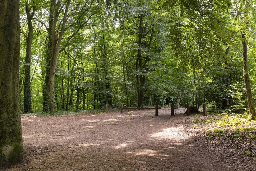 Photo 25 of Everard Meysterweg 66-B