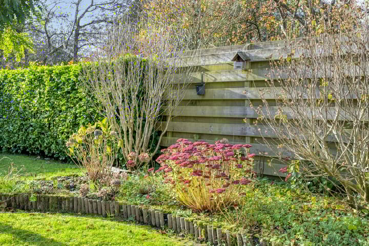 Photo 32 of Kruisven 24