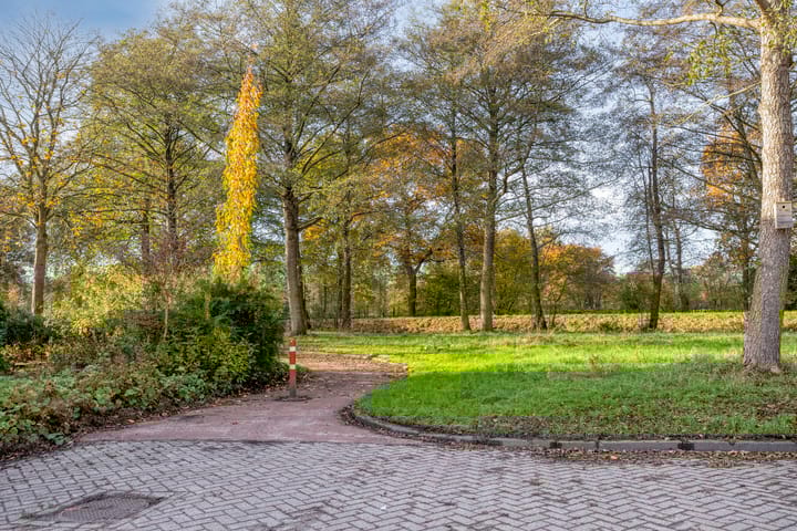 Photo 39 of Kruisven 24