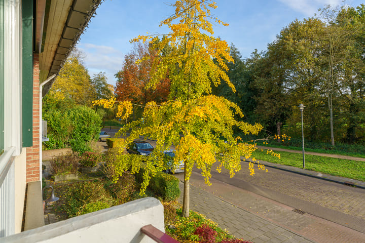 Photo 22 of Anna Paulownalaan 26