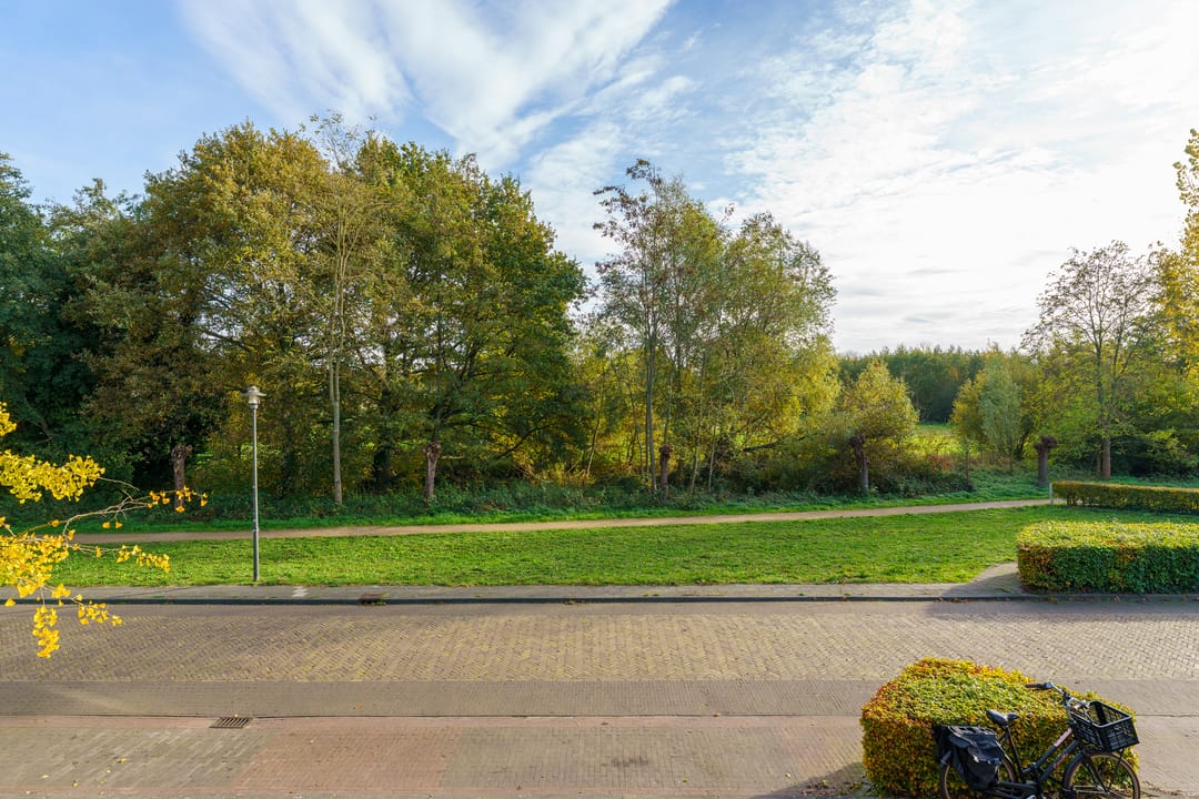 Foto 23 van Anna Paulownalaan 26