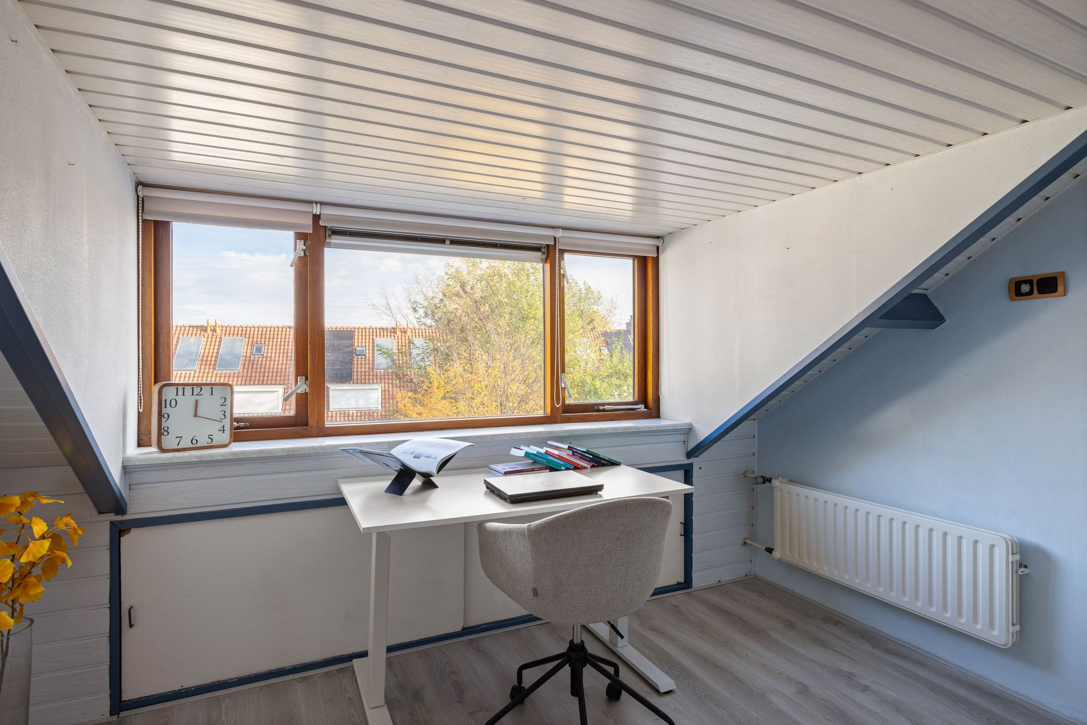 Foto 18 van Pieter Pauluslaan 3