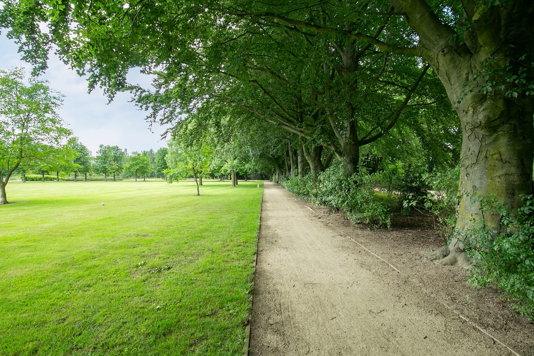 Foto 23 van Pieter Pauluslaan 3