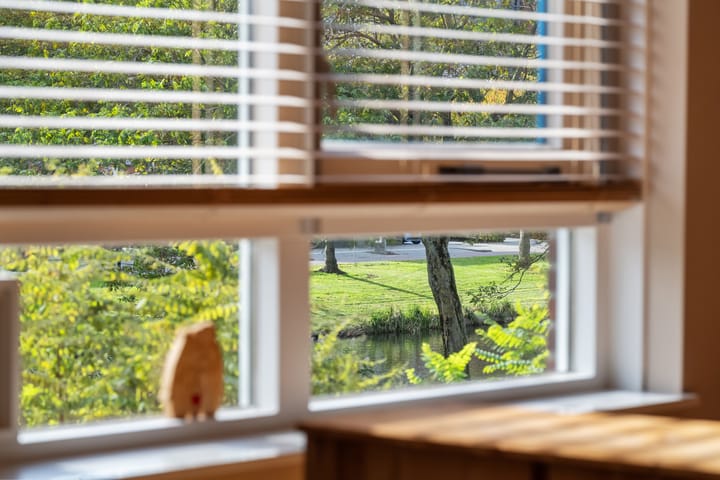 Foto 33 van Meerwedesingel 20