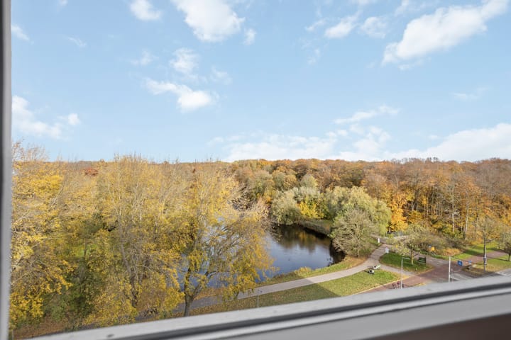 Foto 18 van Kralingseweg 133