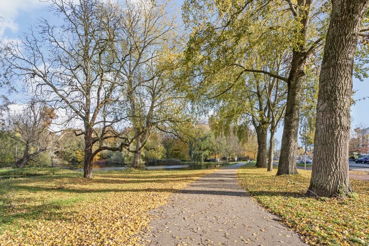 Foto 50 van Kralingseweg 133