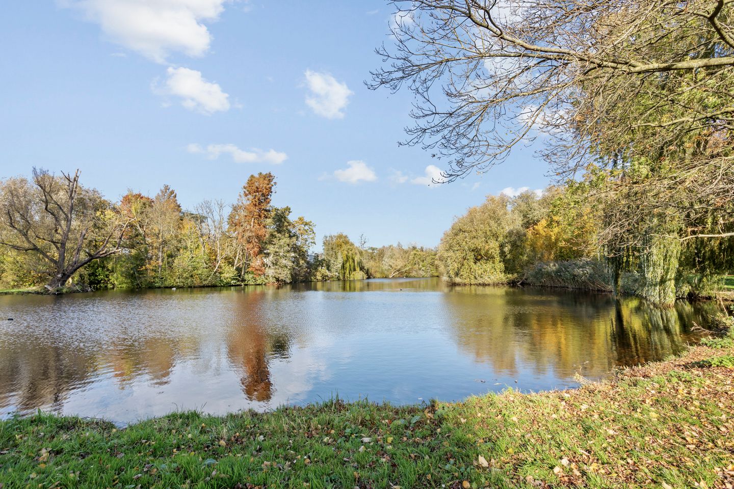 Foto 50 van Kralingseweg 133