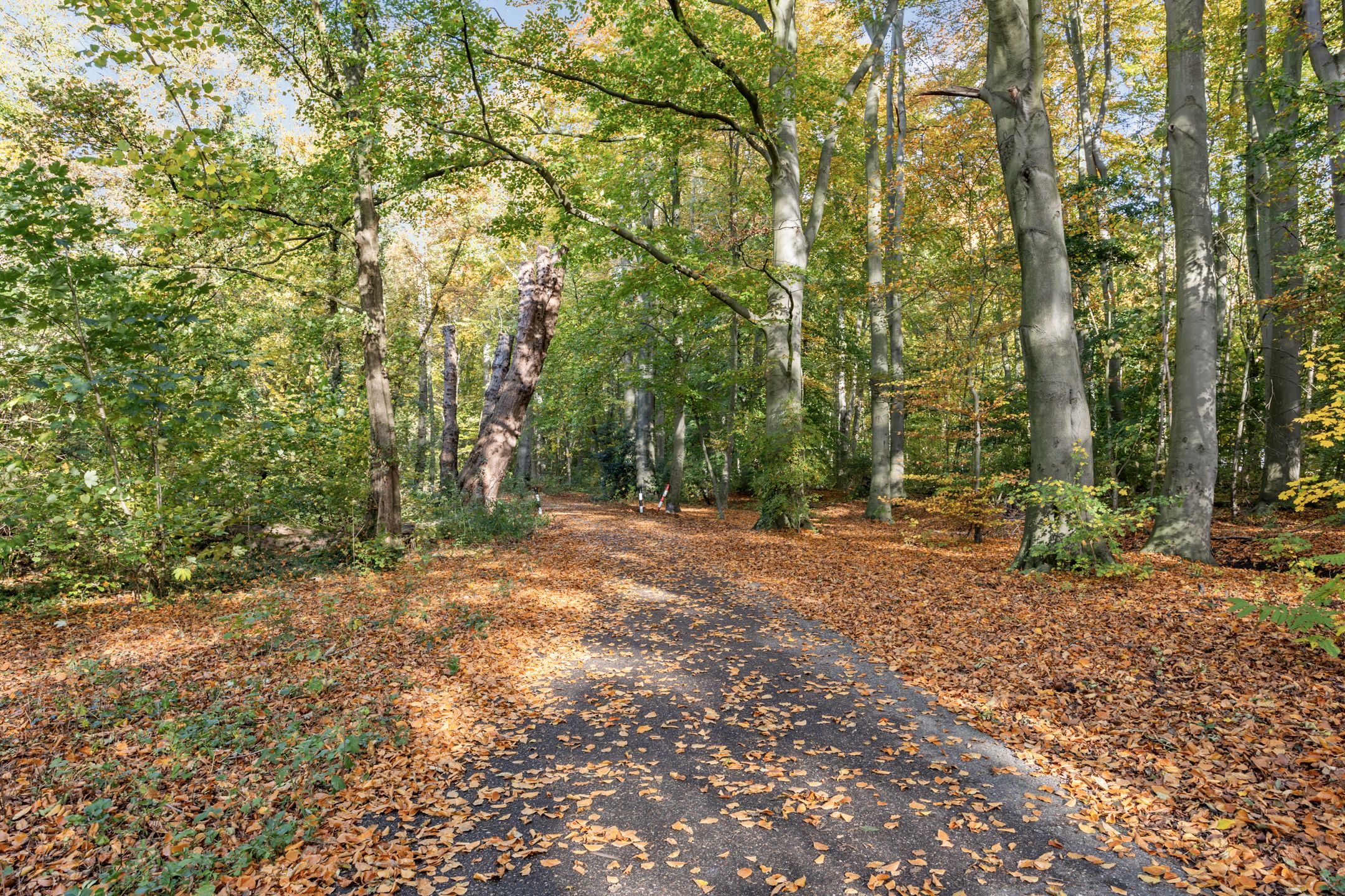 Foto 51 van Kralingseweg 133