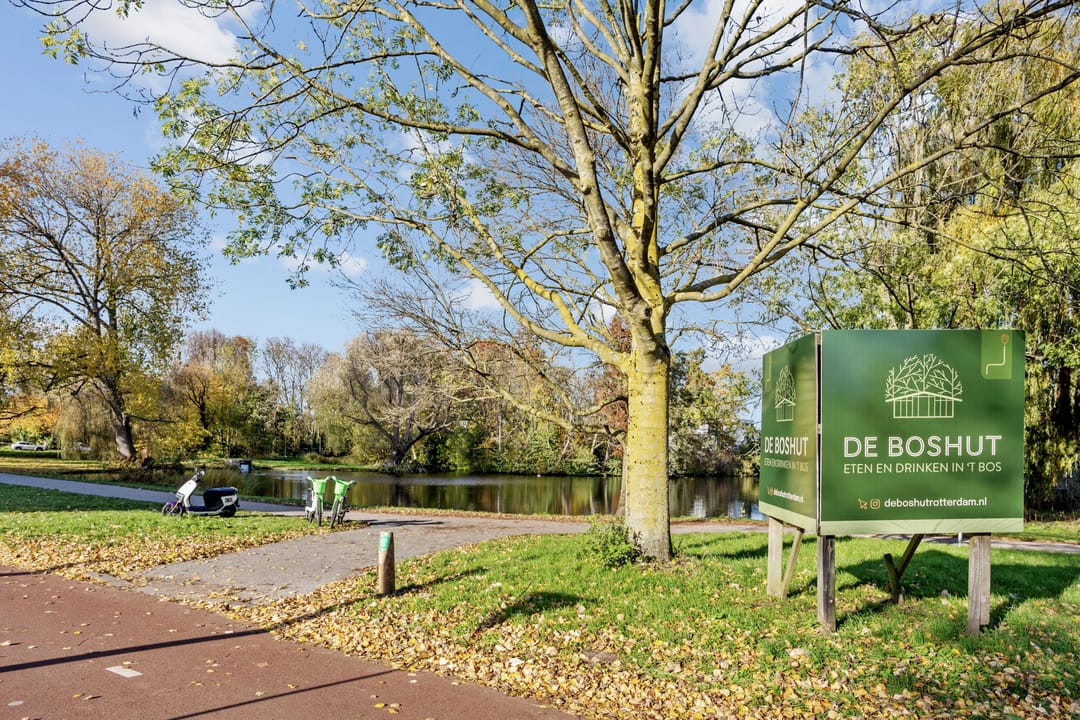 Foto 52 van Kralingseweg 133