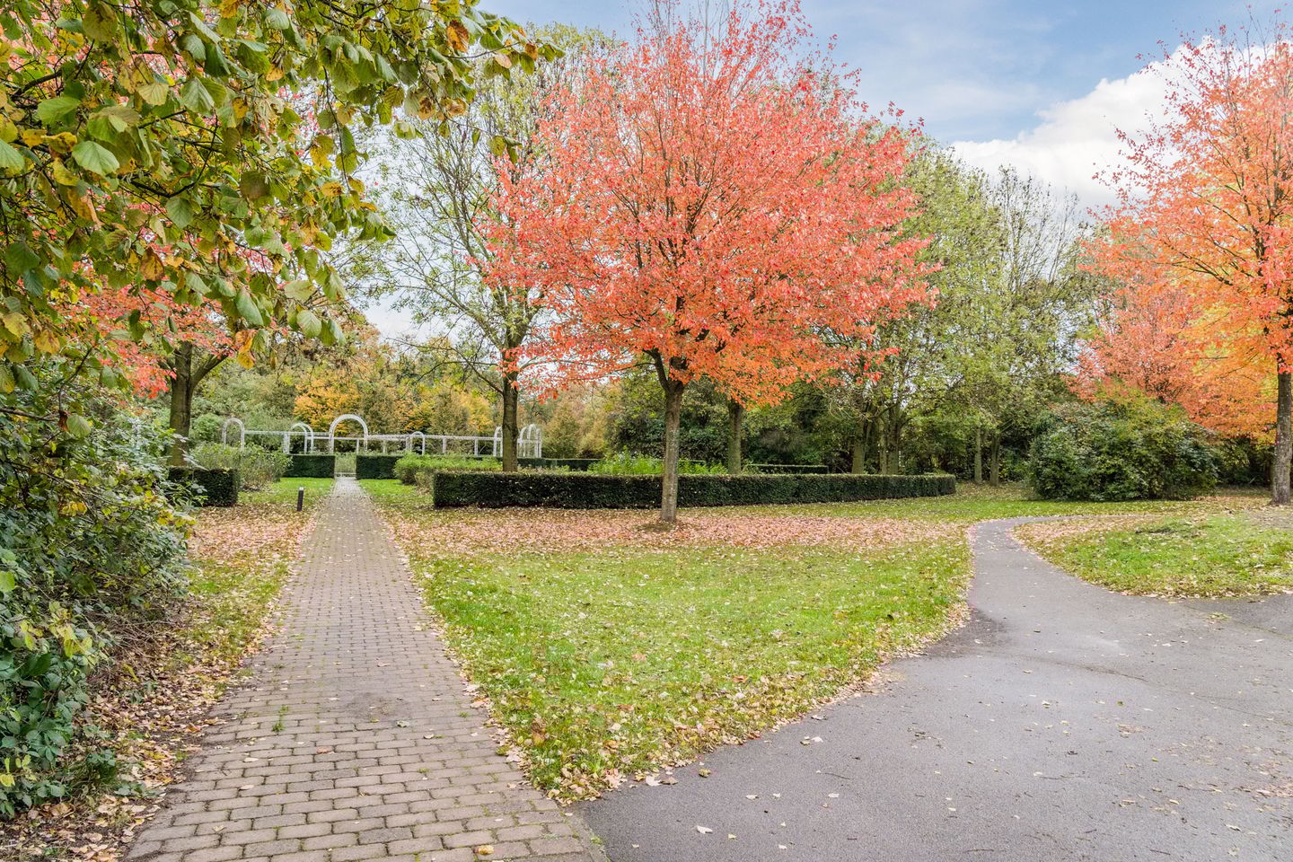 Foto 44 van Camera Obscurastraat 96