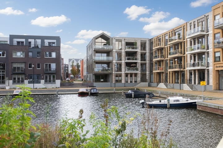 Iseldoks 149 main image