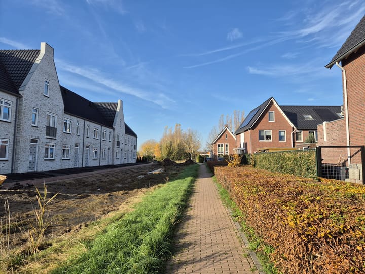 Photo 2 of Fazant 35