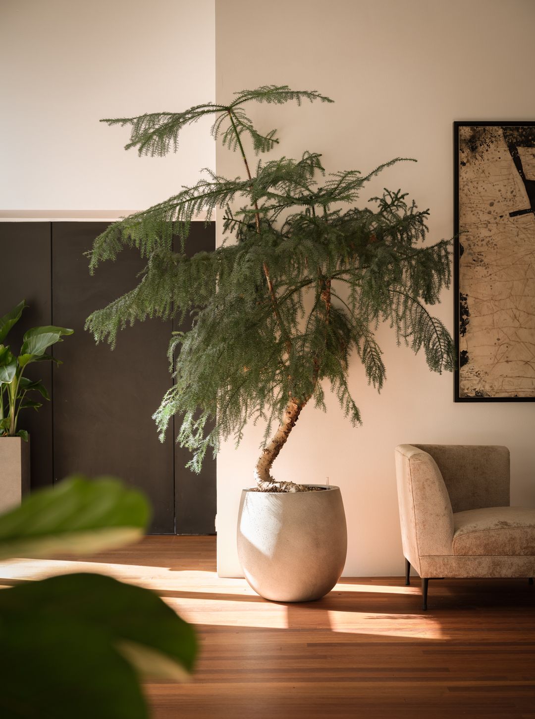 Foto 7 van Lauriergracht 47-F