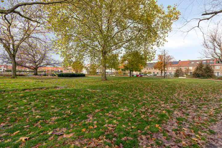 Photo 37 of Pioenroosstraat 10