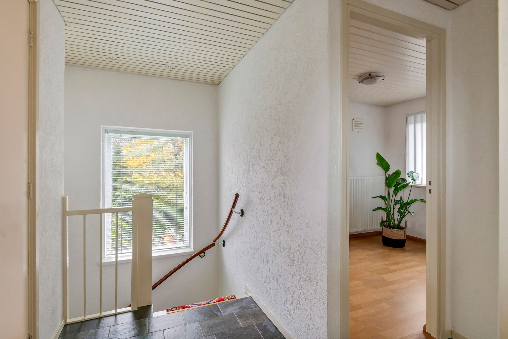 Foto 36 van Koningstraat 48-B