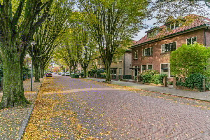 Foto 59 van Cobetstraat 61